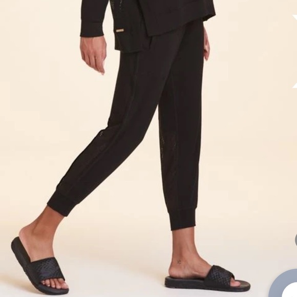 ❌SOLD❌ ALALA HERON JOGGER - BNWT! - Picture 5 of 10